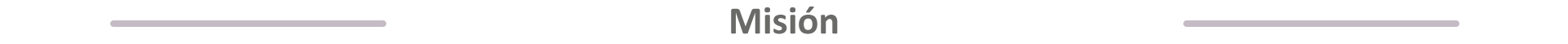 Misión