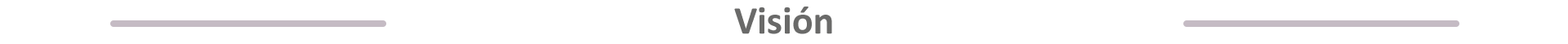 Visión